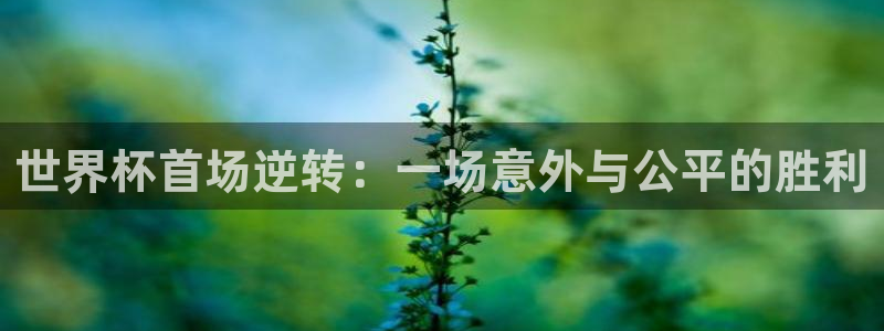 2026年世界杯时间表：世界杯首场逆转：一场意外与公平的胜利