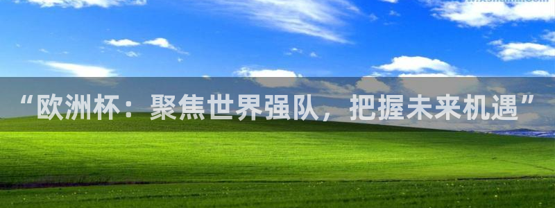 世界杯足球比赛：“欧洲杯：聚焦世界强队，把握未来机遇”