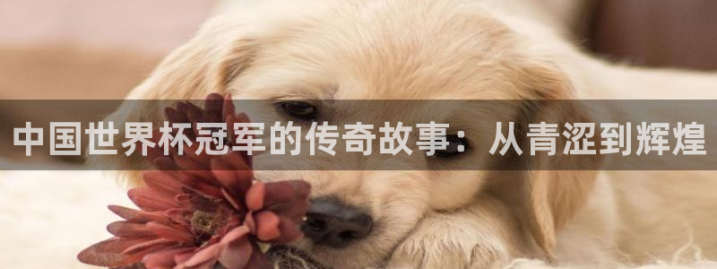 世界杯预选赛欧洲赛区积分榜：中国世界杯冠军的传奇故事：从青涩到辉煌