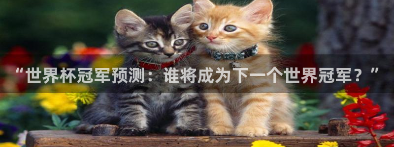 世界杯欧洲预选赛赛程：“世界杯冠军预测：谁将成为下一个世界冠军？”