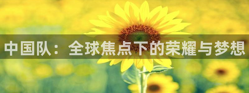 英足总杯直播：中国队：全球焦点下的荣耀与梦想