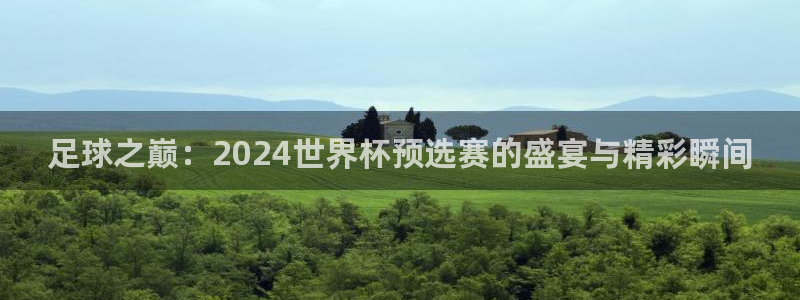 2026世界杯亚洲预选赛赛程：足球之巅：2024世界杯预选赛的盛宴与精彩瞬间