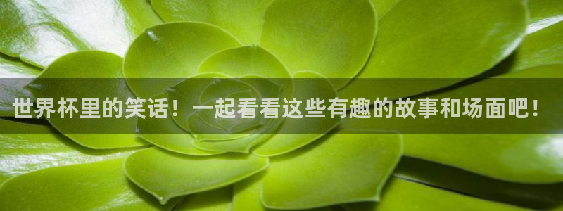 世界杯亚洲区预选赛赛程表：世界杯里的笑话！一起看看这些有趣的故事和场面吧！