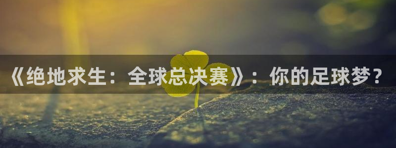 2006年世界杯冠军：《绝地求生：全球总决赛》：你的足球梦？