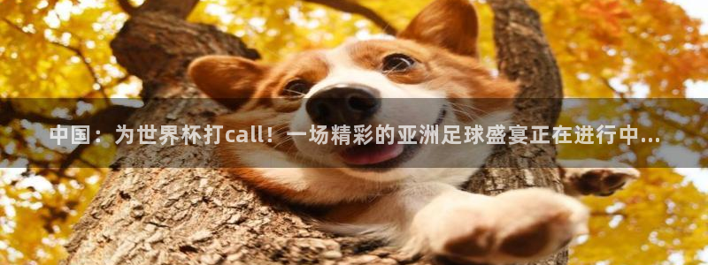 世界杯比赛赛程：中国：为世界杯打call！一场精彩的亚洲足球盛宴正在进行中...