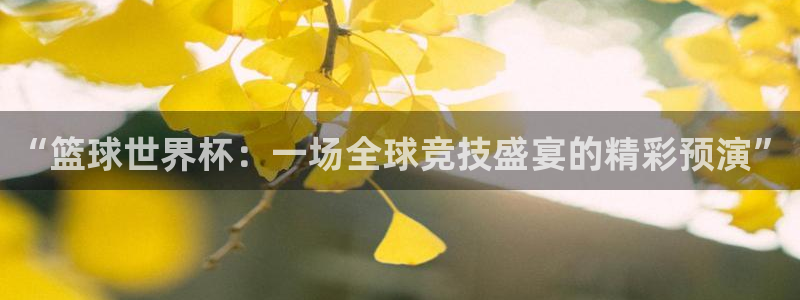足球世界杯赛程：“篮球世界杯：一场全球竞技盛宴的精彩预演”