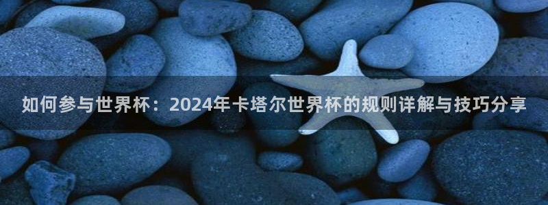 世界杯2026预选赛：如何参与世界杯：2024年卡塔尔世界杯的规则详解与技巧分享