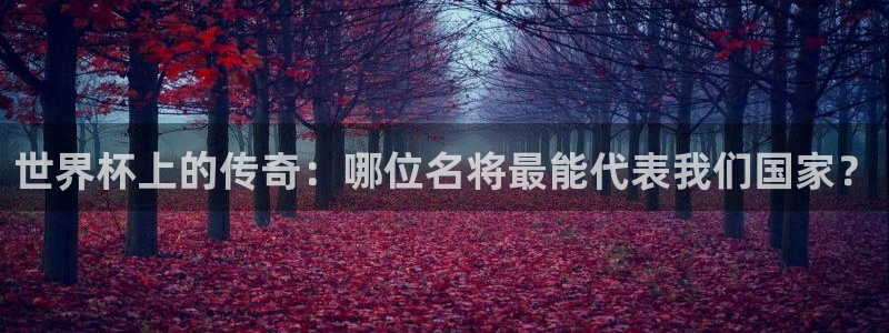 足球世界杯2026年赛程时间表：世界杯上的传奇：哪位名将最能代表我们国家？