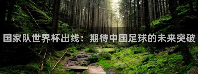 世界杯预选赛欧洲：国家队世界杯出线：期待中国足球的未来突破