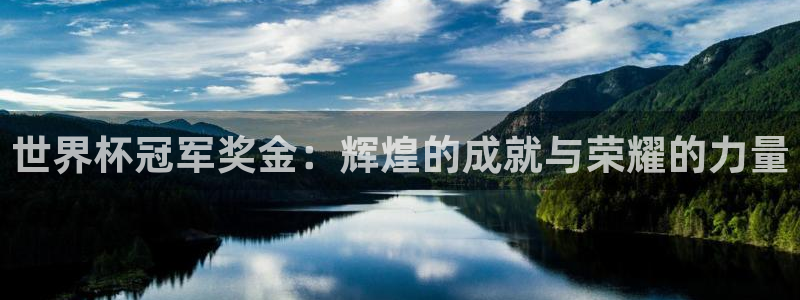 2026世界杯赛：世界杯冠军奖金：辉煌的成就与荣耀的力量